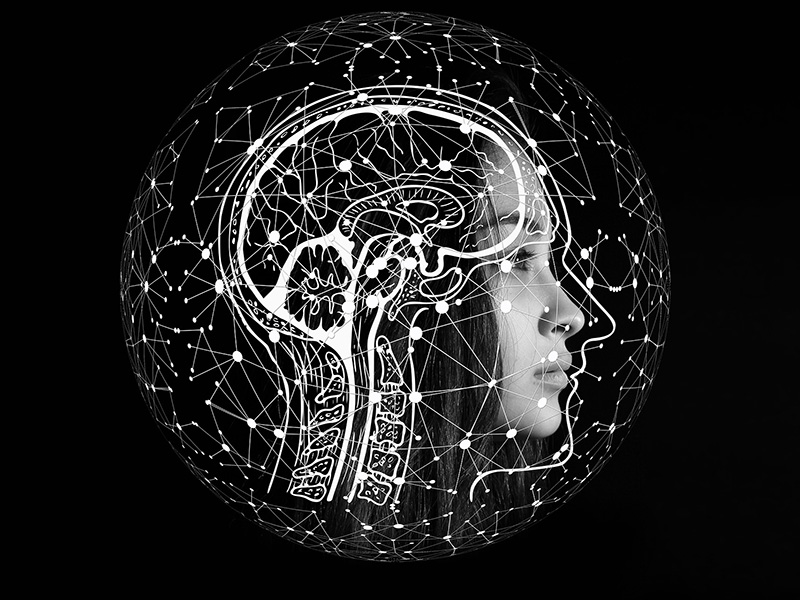 私域運(yùn)營是做什么的？快速提升私域流量，迎接爆款！